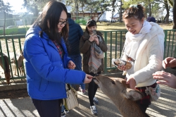 京都・大阪見学旅行